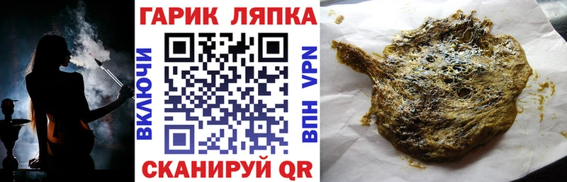 ГАШ Premium  Купить  Пудож 