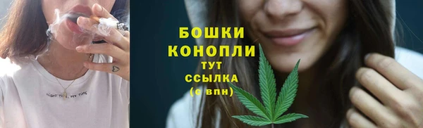 гидропоника Заводоуковск