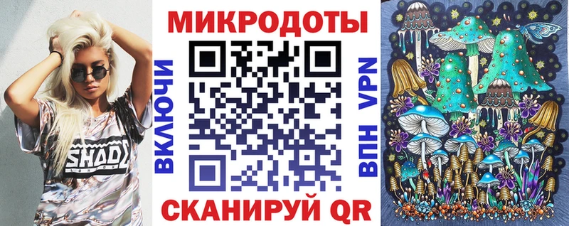Купить закладки  Пудож  Галлюциногенные грибы Magic Shrooms 