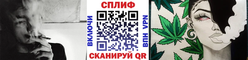Купить закладки  Пудож  Марихуана план 
